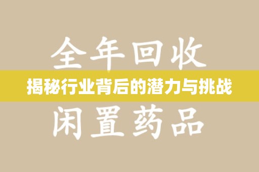 苏州揭秘行业背后的潜力与挑战