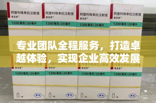 苏州专业团队全程服务，打造卓越体验，实现企业高效发展